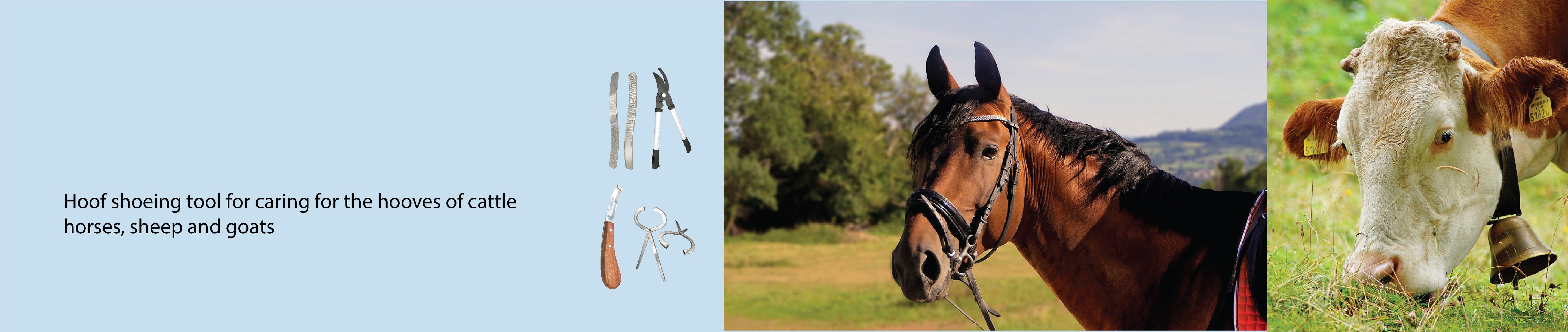 Hoof & Claw, hoof schere, hoof rasp