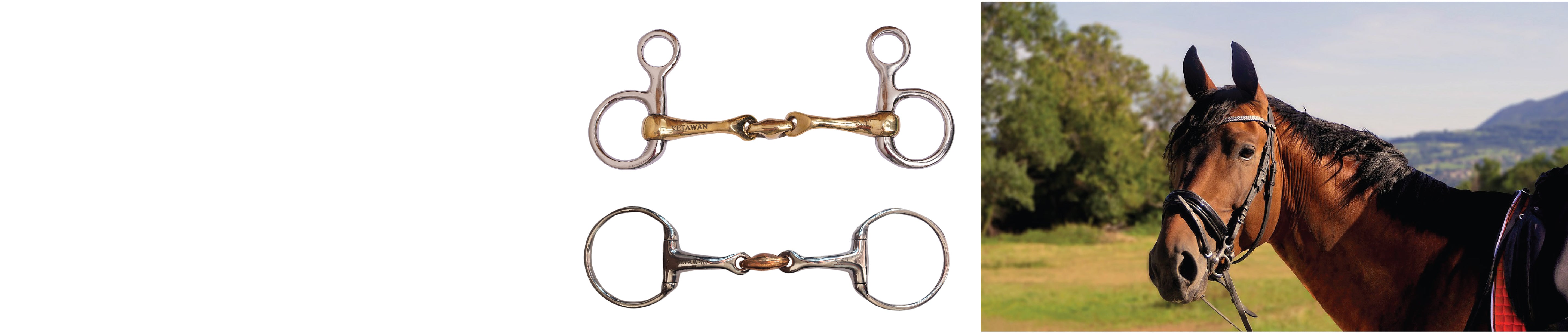 Oliven head, pelham, snaffle bits for horses